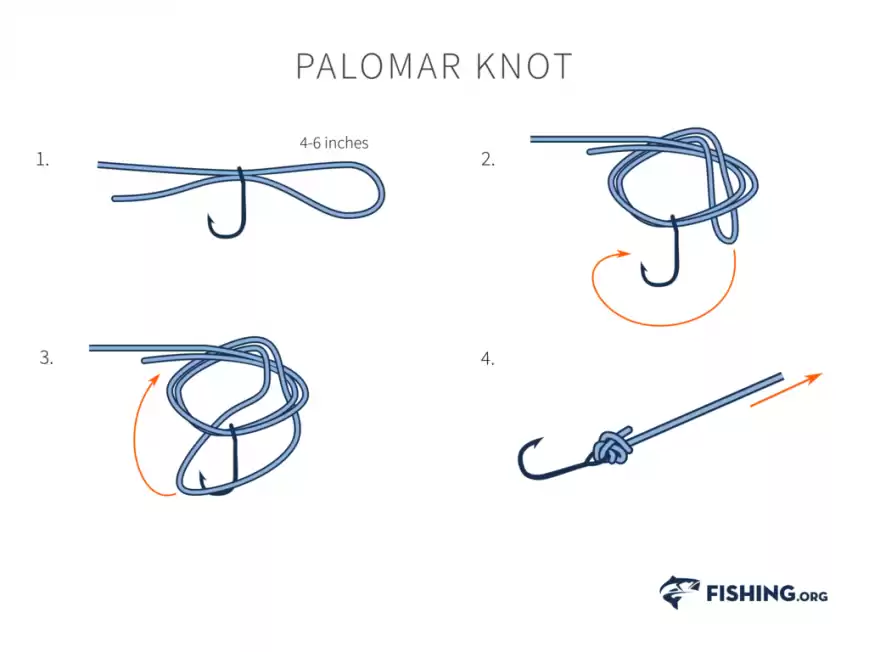 how to tie fishing knots, palomar knot