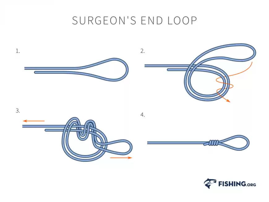how to tie fishing knots, surgeons end loop