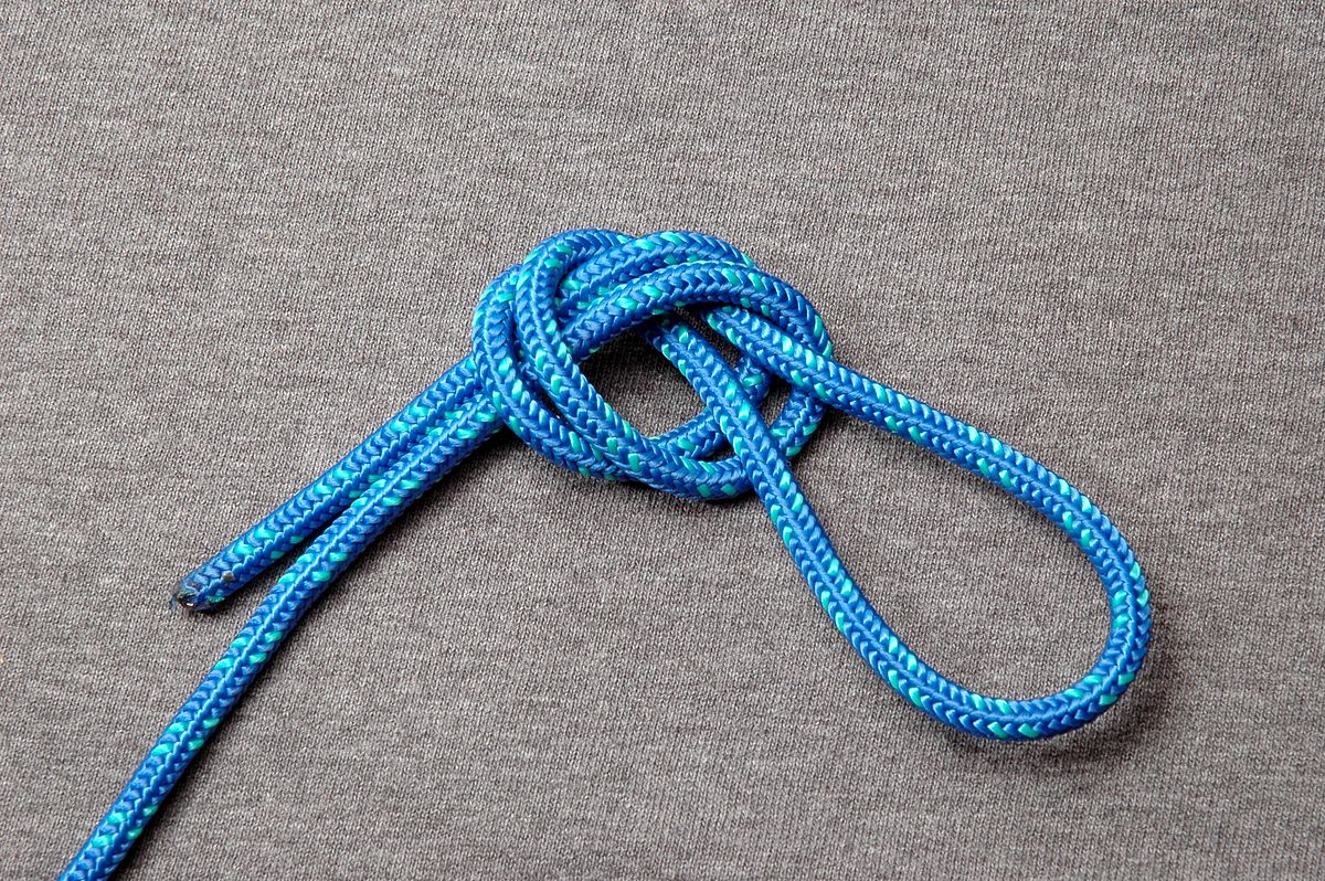 10 Types of Fishing Knots You Should Know - NicolaFishing