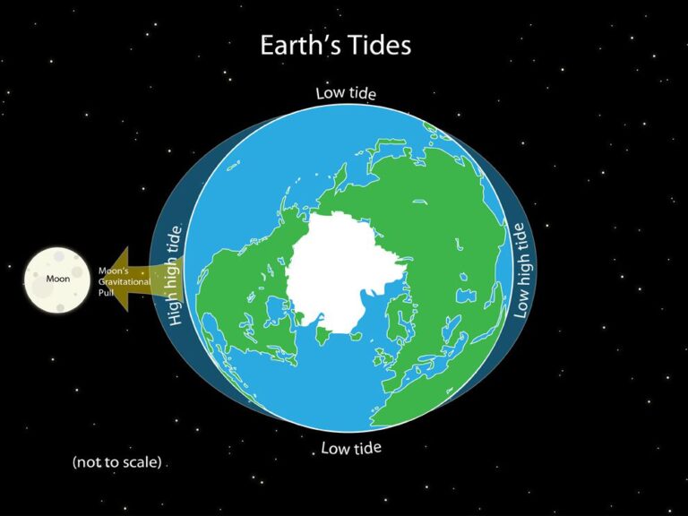 How Does the Moon Affect the Tides? NicolaFishing