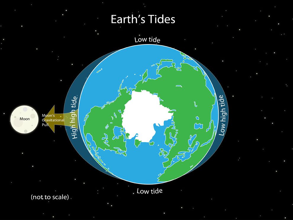 how does the moon affects the tides