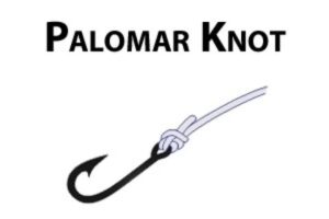 types of fishing knots - palomar knot