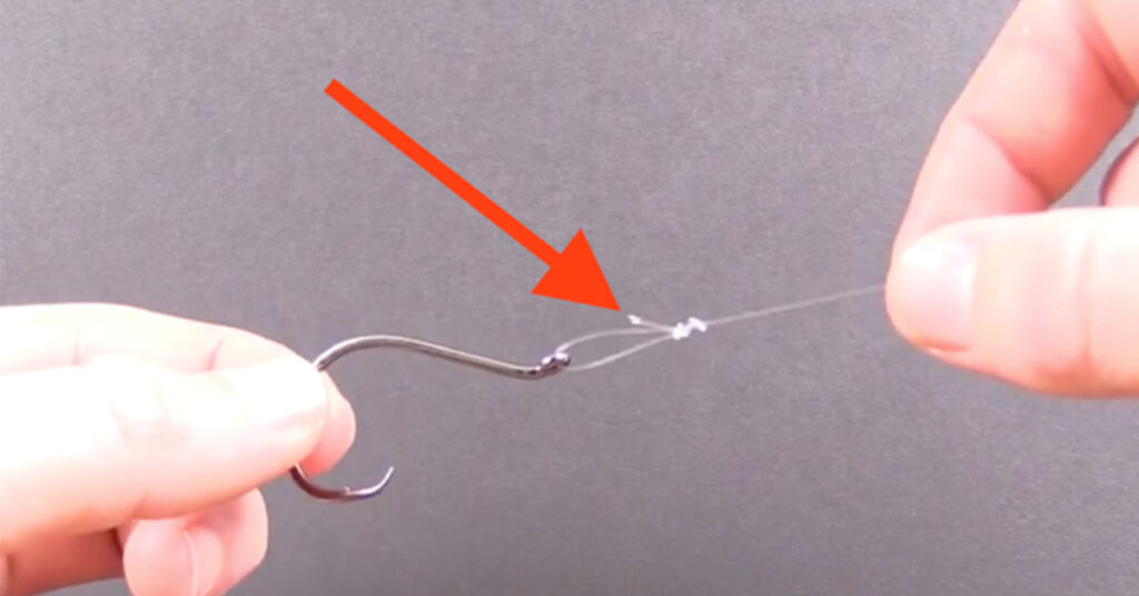 10 Types of Fishing Knots You Should Know NicolaFishing