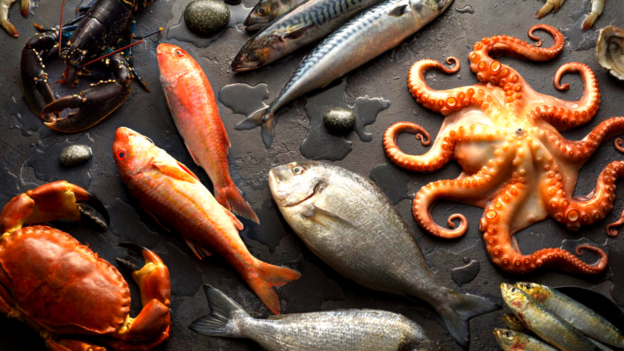 fish and sea food