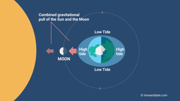how do the moon and sun affect the tides