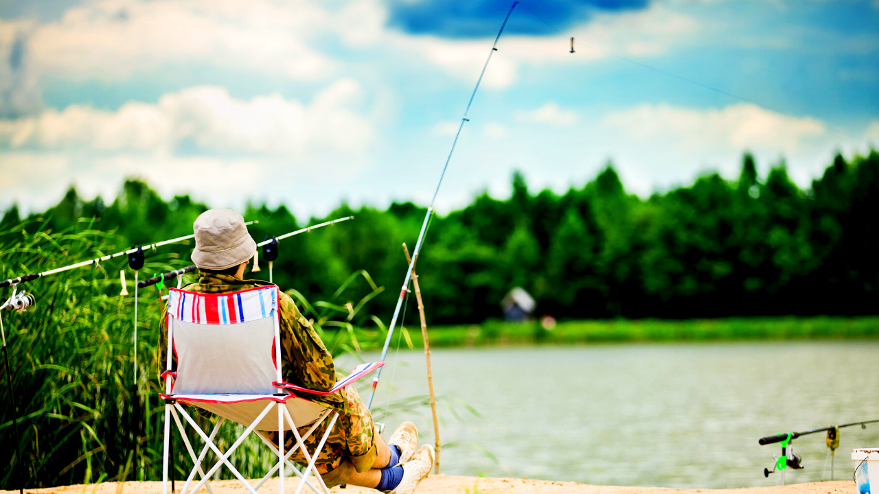 A Beginner's Guide To Fishing In The Lake: Tips For New Beginners ...