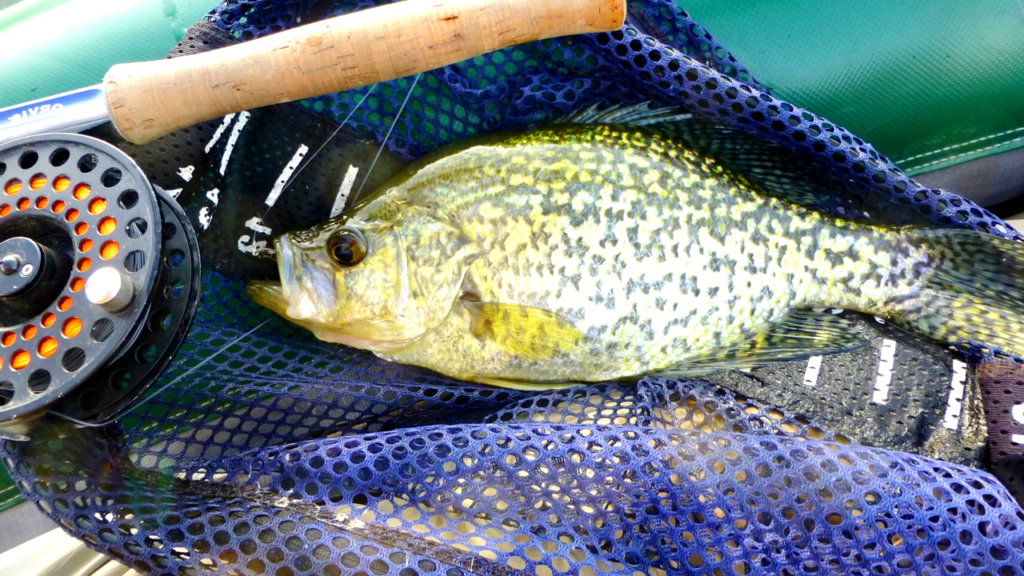 top locations for crappie fishing