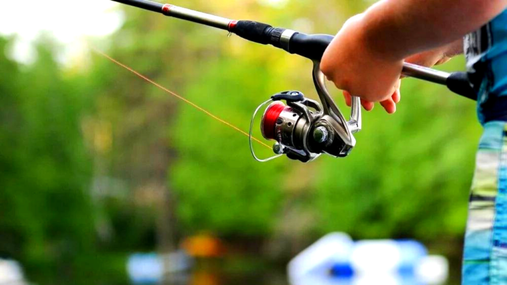 fishing reels for freshwater