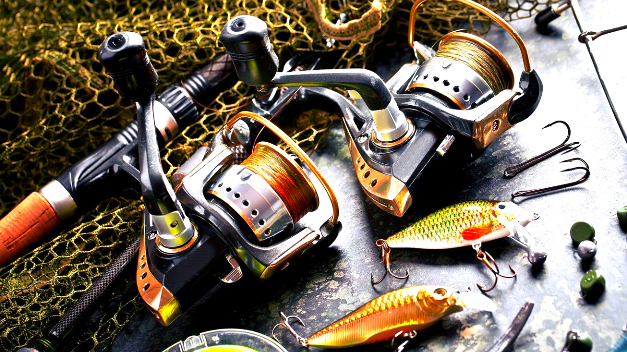 Best Tips for Using Fishing Gear Properly - NicolaFishing