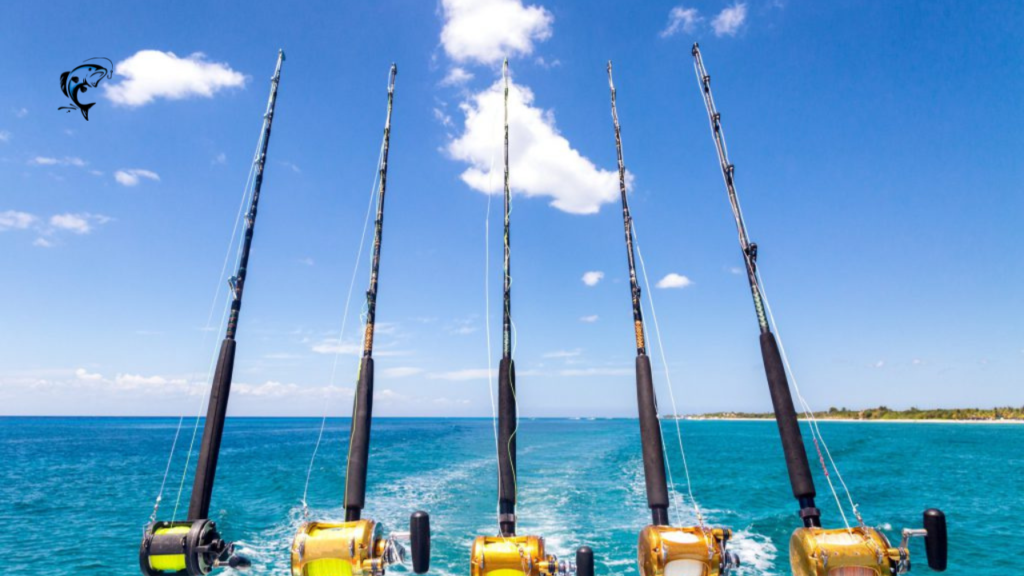 Beginner’s Guide: How To Choose The Right Fishing Reel for You