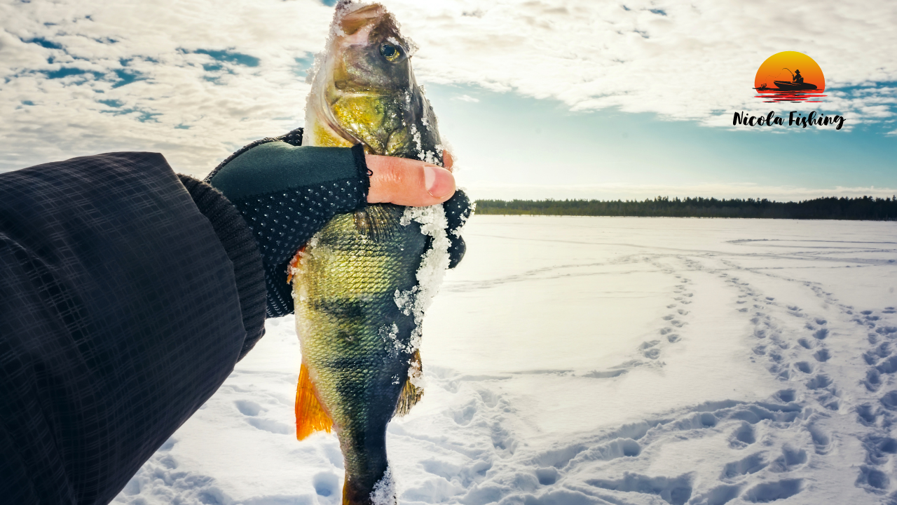 best places to fish in the winter