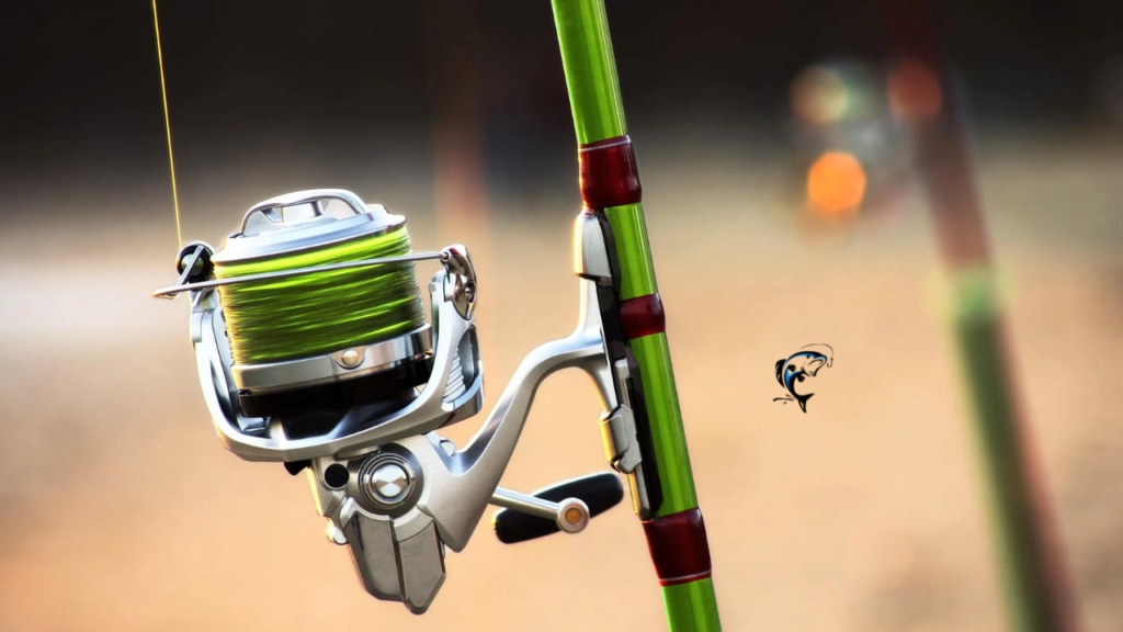 fishing rods for beginners