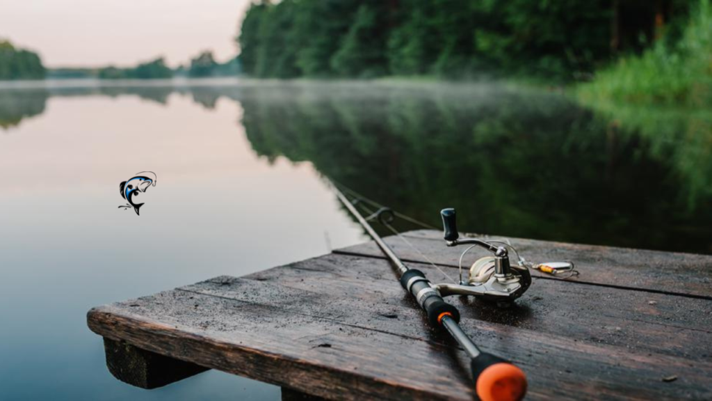 fishing rods for beginners