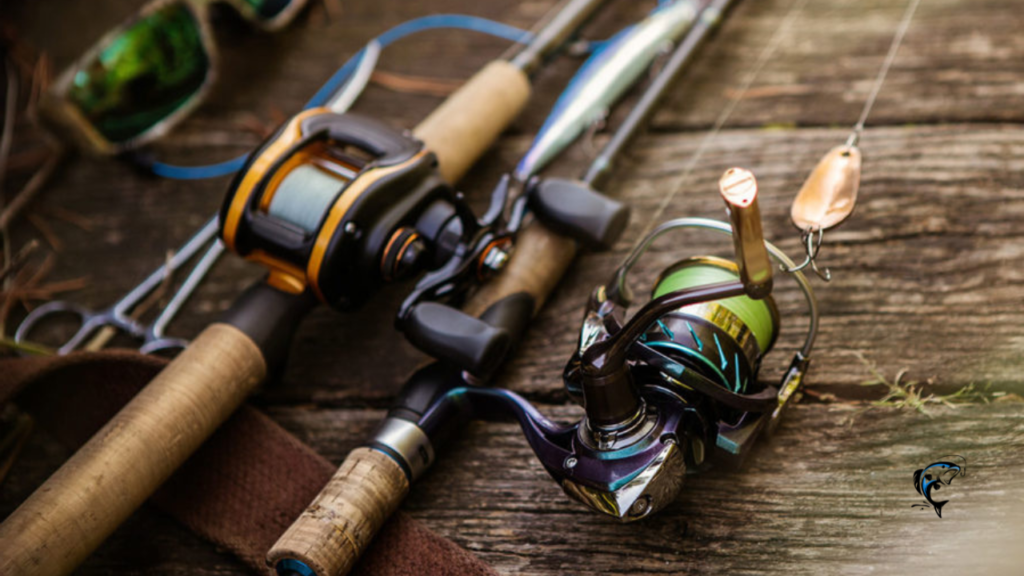 fishing rods for beginners