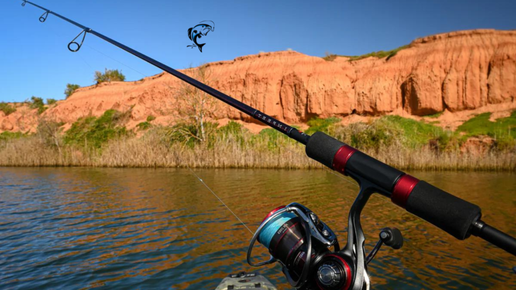 fishing rods for beginners