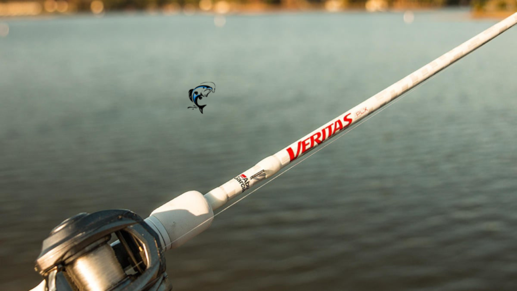 fishing rods for beginners