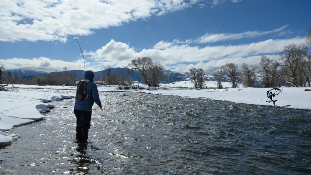 best places to fish in the winter